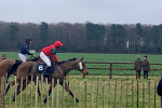 Brocklesby Races